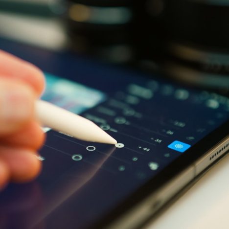 Astuces efficaces pour enrichir la biodiversité de son jardin : sélection de plantes, conseils Nature & Découvertes et code promo exclusif