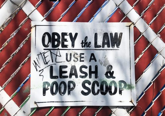 découvrez notre sélection d'étiquettes éthiques qui garantissent des pratiques responsables et un impact positif sur l'environnement et la société.