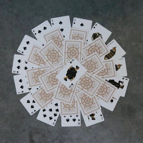 Fermentation maison de légumes : astuces et bons plans pour réussir avec Le Parfait, codes promo inclus