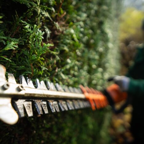 Entretenir et rénover ses portes et fenêtres : les essentiels du bricolage